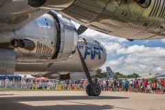 FIFI-arrives-1