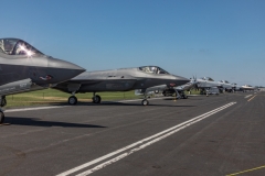 Big-Birds-1