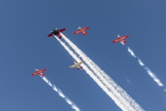 Matt-Tuskegee-Volunteer-Formation