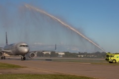 Honor flight arrives