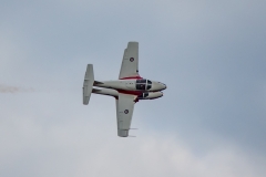 8-Snowbirds-1