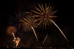 9-Fireworks-Flowers-2-