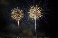 9-Fireworks-Flowers-3-