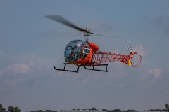 Bell 47 beauty 2