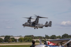 Osprey-approaching-