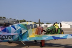 Jeff-Tows-crazy-paint-Mooney-