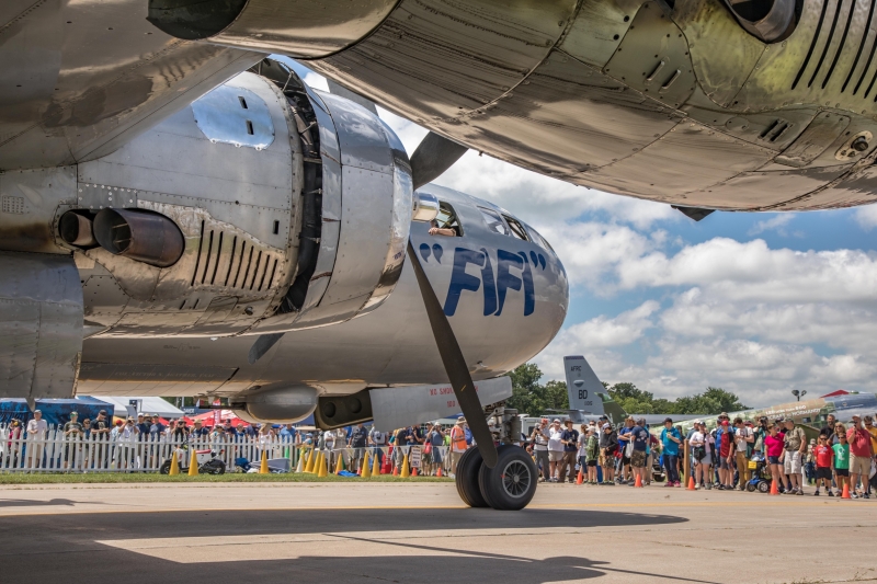 FIFI-arrives-1