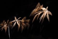 Fireworks-3