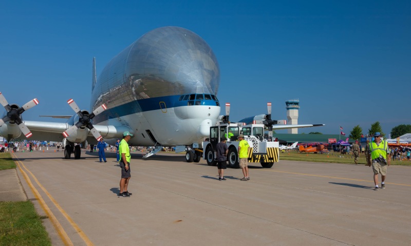 Sending-the-Guppy-home-1-