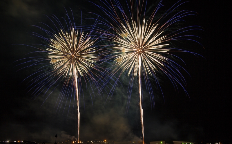 9-Fireworks-Flowers-3-