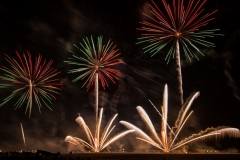 9-Fireworks-Flowers-1-