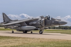 Harrier-arrives-