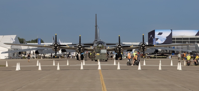 Wide Birds on the Ramp