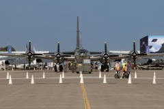 Wide Birds on the Ramp
