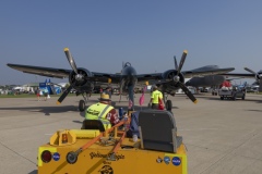 Parking-the-Tiger-Cat