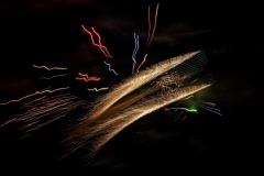 Crazy-6-7-23