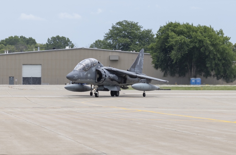 Korean-Harrier-1