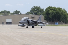 Korean-Harrier-1