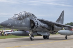 Korean-Harrier-2