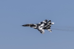Mig-29